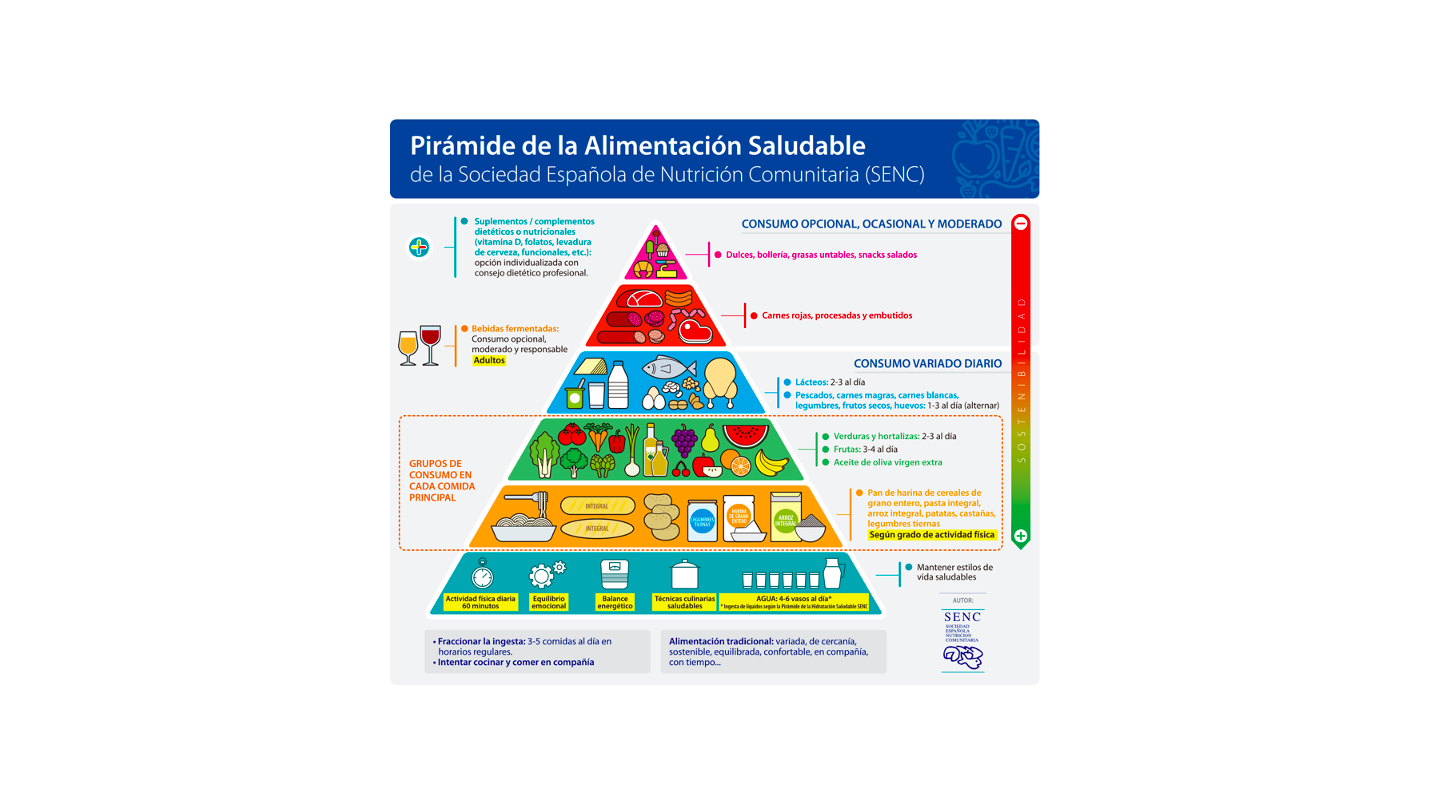 Pirámide De Energía, Que Es, Niveles, Ejemplos, El Porqué De Su Forma